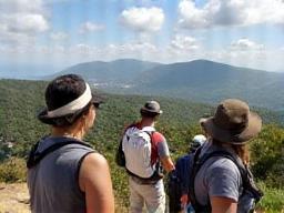 Group on a guided nature tour